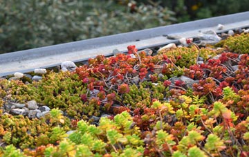 the cost of Killyleagh green roof installation