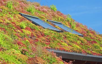 Killyleagh living roof systems