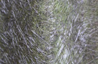 Killyleagh fibreglass roof work